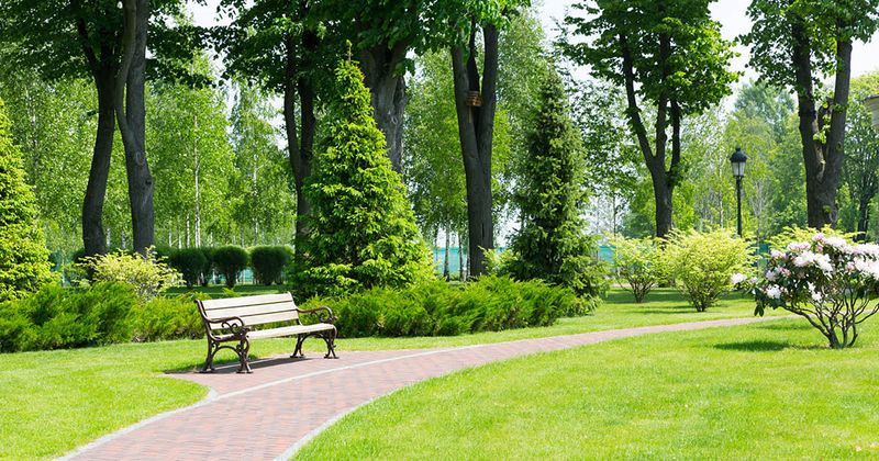 Park with lots of greenery.