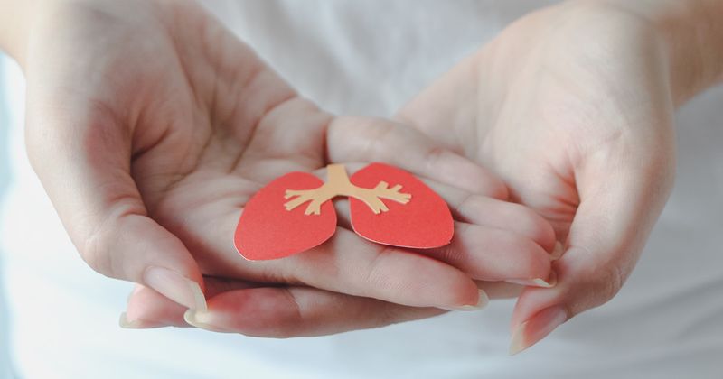 Hands holding lung shape made out of paper.