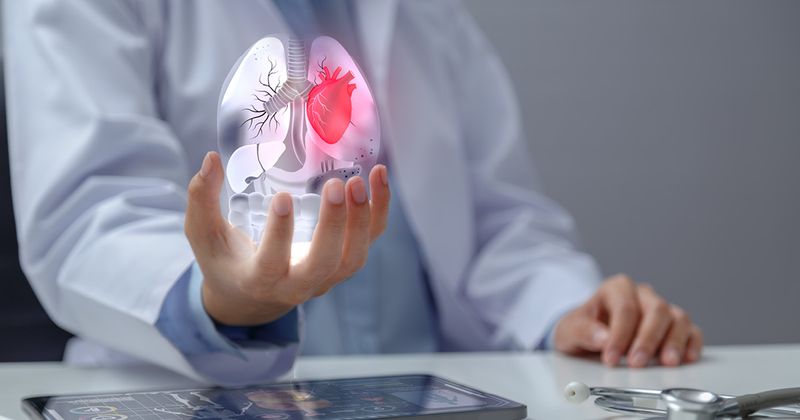 Doctor examining heart and lungs with hologram in hand.