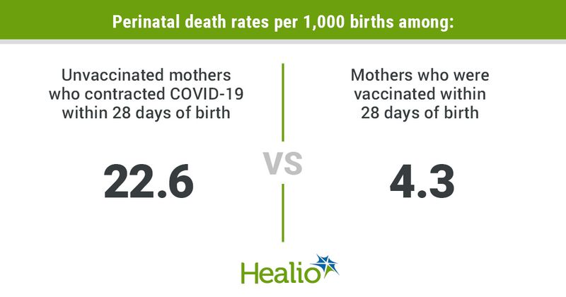 There were 22.6 perinatal deaths per 1,000 births among unvaccinated mothers who contracted COVID-19 within 28 days of birth and 4.3 perinatal deaths per 1,000 births among mothers who were vaccinated within 28 days of birth. 