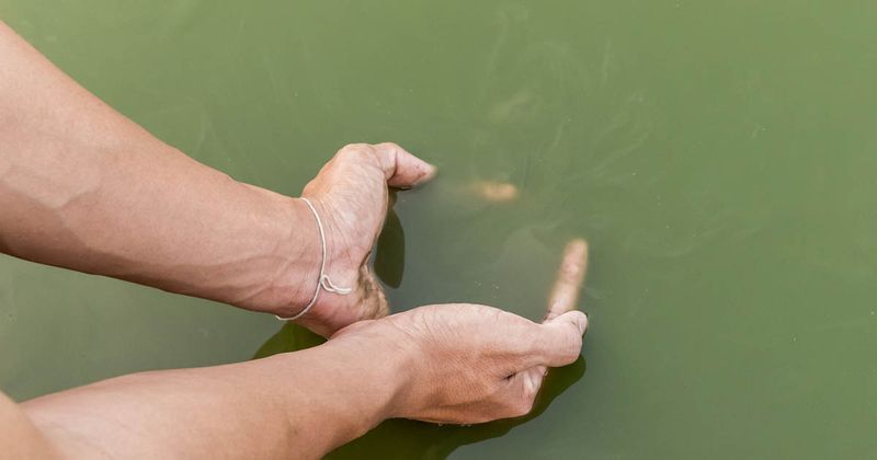 Hands and green water