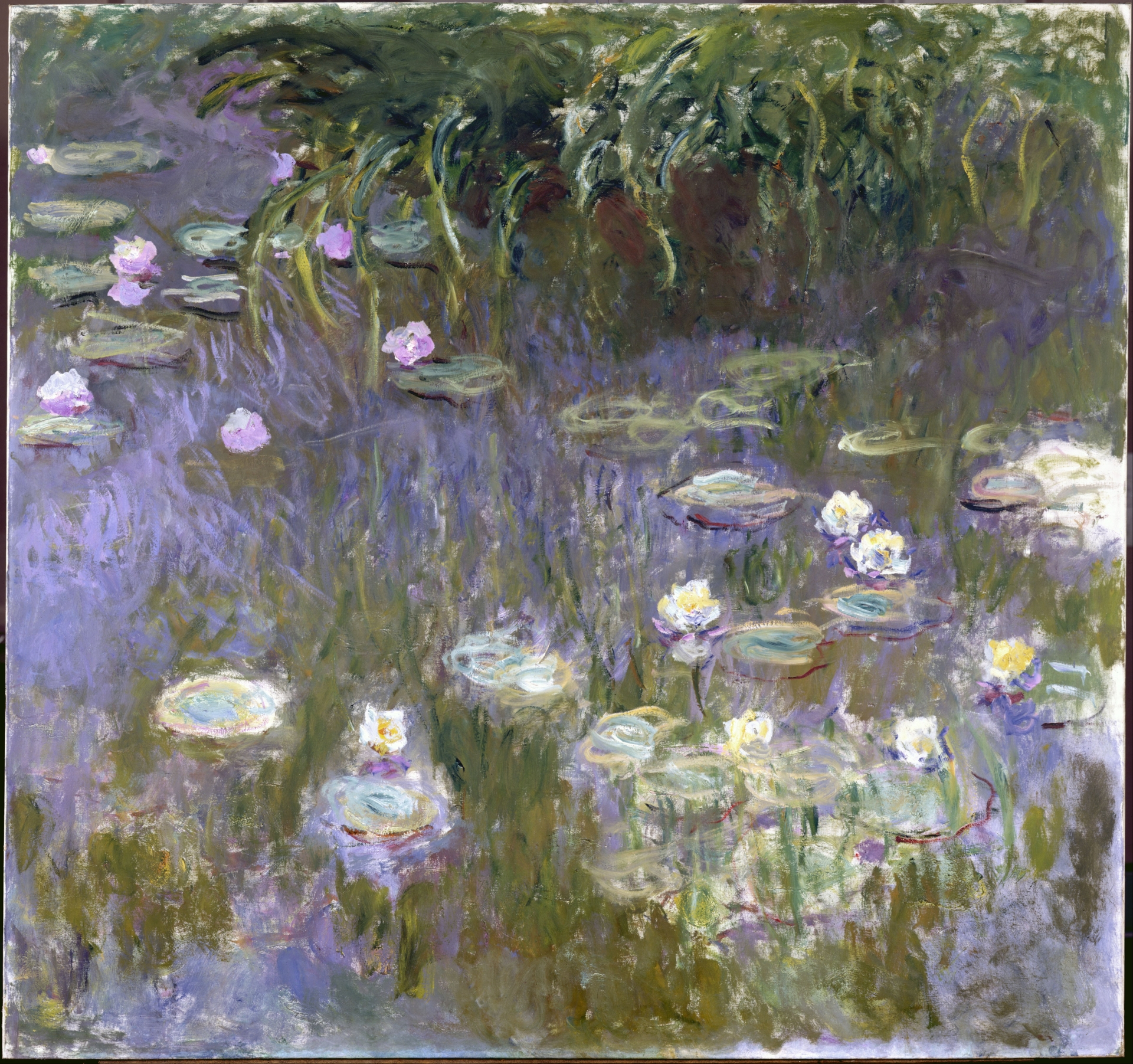 Monet’s water lilies, painted after cataract extraction. Image: Wikipedia, public domain.